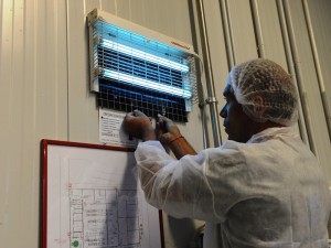sostituzione collante
