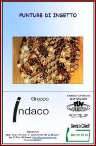 punture di insetto